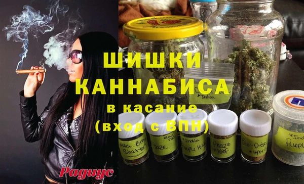 ГАЛЛЮЦИНОГЕННЫЕ ГРИБЫ Каменка