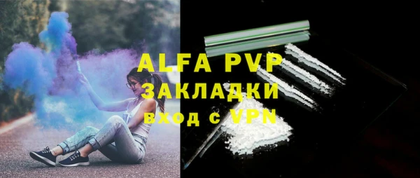 mix Инта