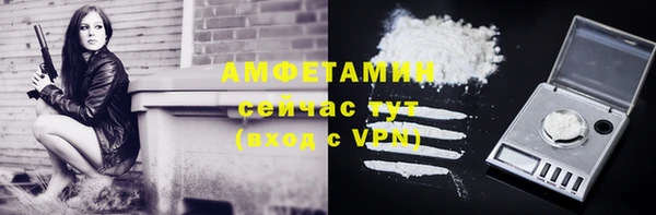 ГАЛЛЮЦИНОГЕННЫЕ ГРИБЫ Каменка