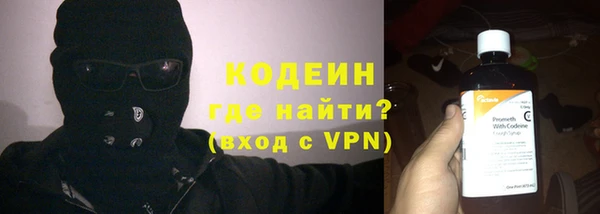 твердый Инсар