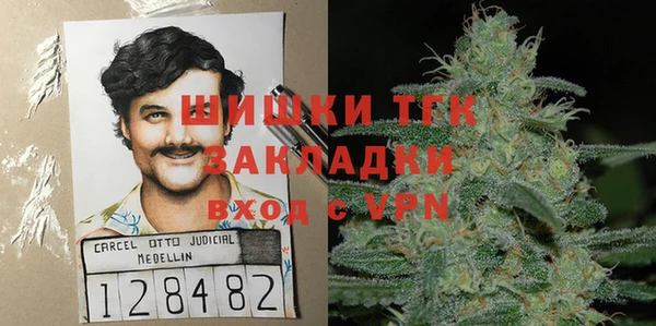 ГАЛЛЮЦИНОГЕННЫЕ ГРИБЫ Каменка