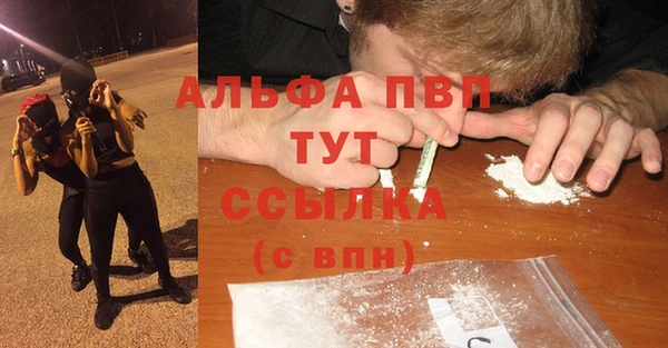 не бодяженный Каменногорск