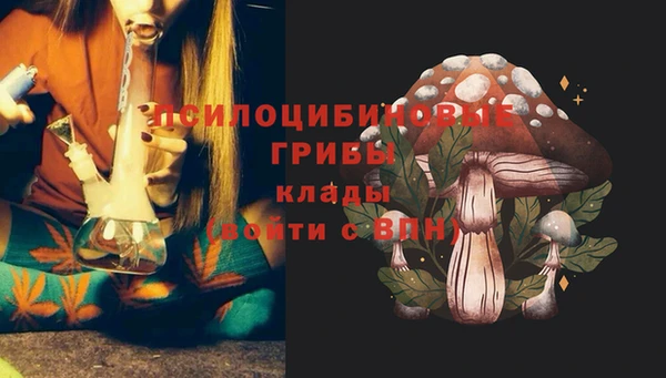 ГАЛЛЮЦИНОГЕННЫЕ ГРИБЫ Каменка