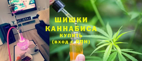 mix Инта