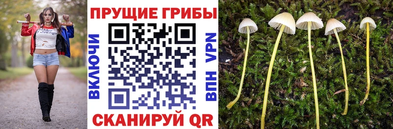 Галлюциногенные грибы Magic Shrooms  Купить закладки  Зеленодольск 